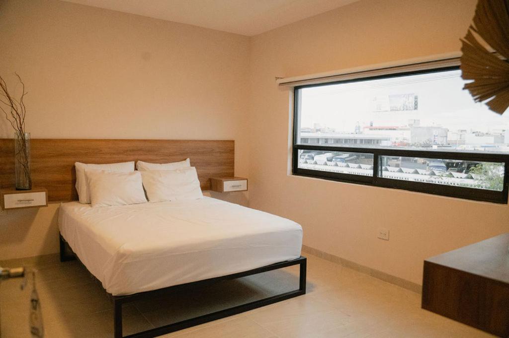 Hotel Fratelli 阿瓜斯卡达特斯 外观 照片